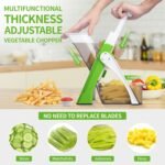 4 in 1 Mandoline Spring Slicer Vegetable and Fruits Cutter